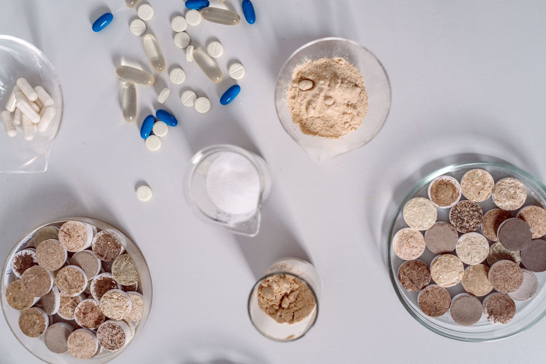 Nutraceutical capsule manufacturing